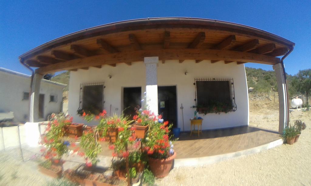 Agriturismo Locoe โอเลียนา ภายนอก รูปภาพ