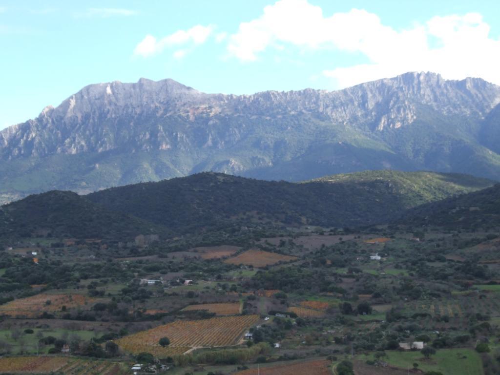 Agriturismo Locoe โอเลียนา ภายนอก รูปภาพ